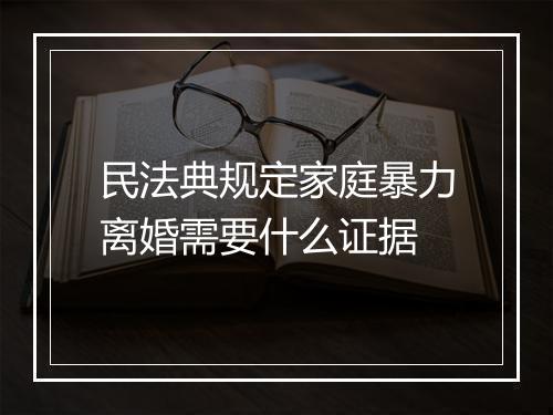 民法典规定家庭暴力离婚需要什么证据