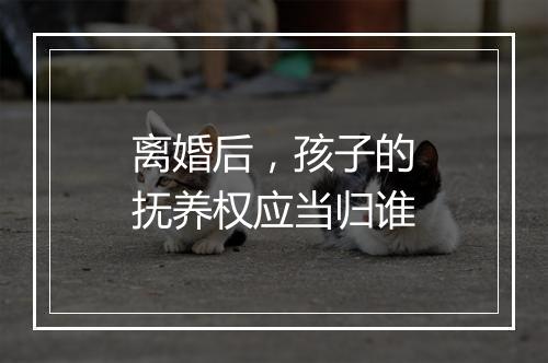 离婚后，孩子的抚养权应当归谁