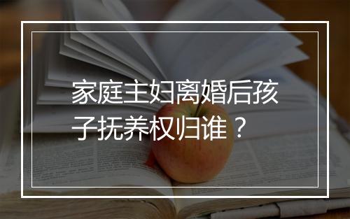 家庭主妇离婚后孩子抚养权归谁？