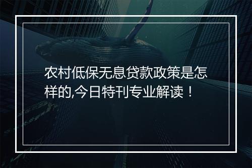 农村低保无息贷款政策是怎样的,今日特刊专业解读！