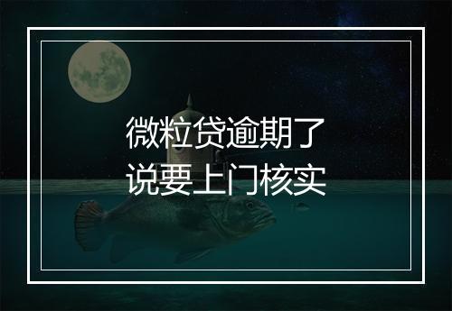 微粒贷逾期了说要上门核实