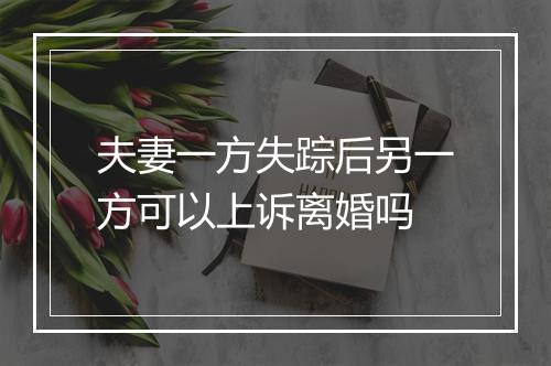 夫妻一方失踪后另一方可以上诉离婚吗