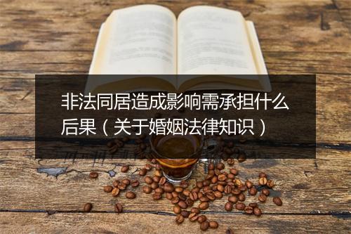 非法同居造成影响需承担什么后果（关于婚姻法律知识）