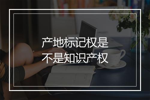 产地标记权是不是知识产权