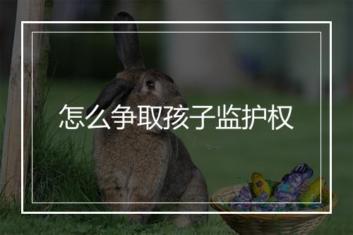 怎么争取孩子监护权