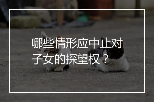 哪些情形应中止对子女的探望权？