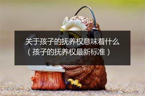 关于孩子的抚养权意味着什么（孩子的抚养权最新标准）