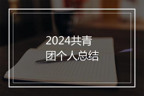 2024共青团个人总结