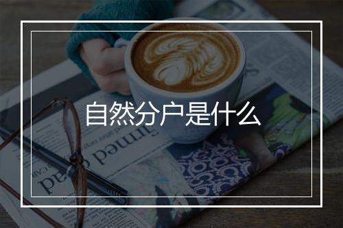 自然分户是什么