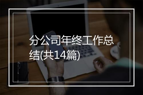 分公司年终工作总结(共14篇)