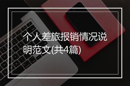 个人差旅报销情况说明范文(共4篇)