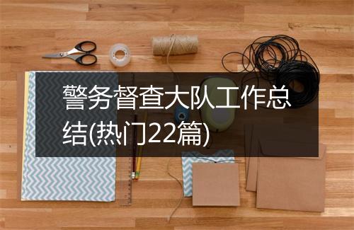 警务督查大队工作总结(热门22篇)