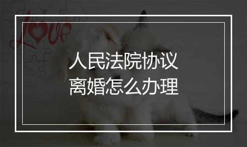 人民法院协议离婚怎么办理