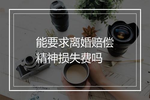 能要求离婚赔偿精神损失费吗