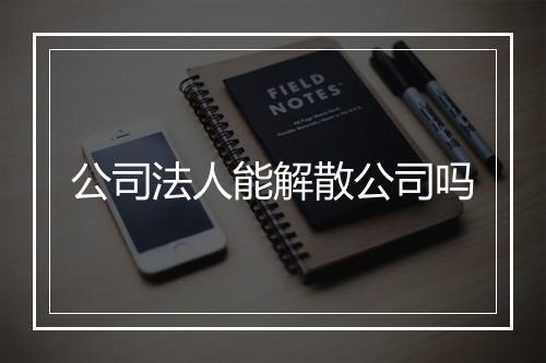 公司法人能解散公司吗