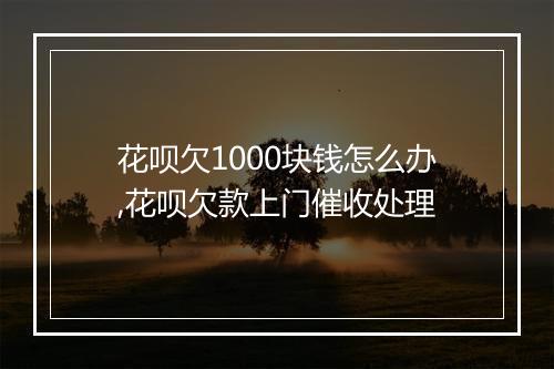 花呗欠1000块钱怎么办,花呗欠款上门催收处理