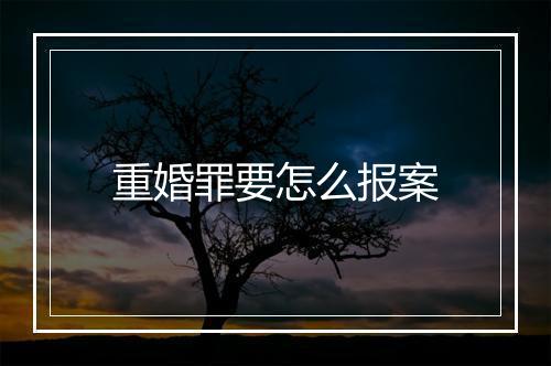 重婚罪要怎么报案