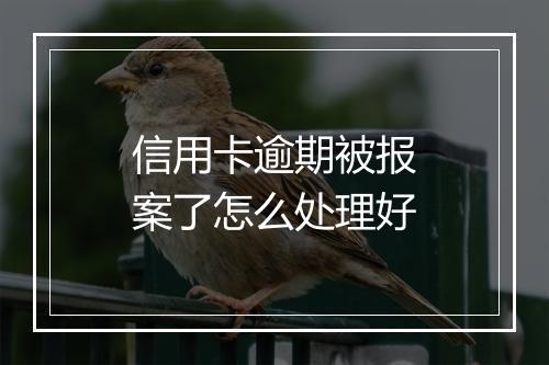 信用卡逾期被报案了怎么处理好