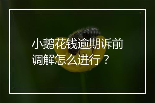 小鹅花钱逾期诉前调解怎么进行？