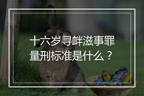 十六岁寻衅滋事罪量刑标准是什么？