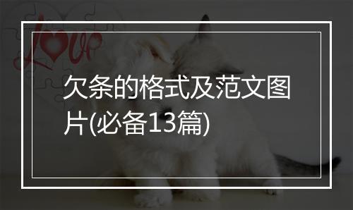 欠条的格式及范文图片(必备13篇)