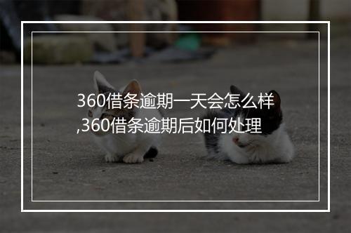 360借条逾期一天会怎么样,360借条逾期后如何处理