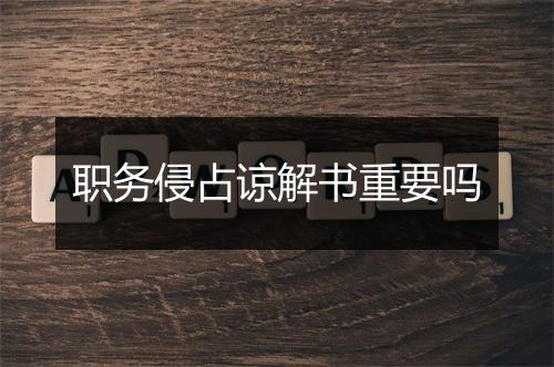 职务侵占谅解书重要吗