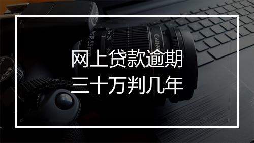 网上贷款逾期三十万判几年