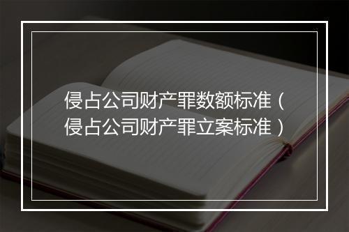 侵占公司财产罪数额标准（侵占公司财产罪立案标准）