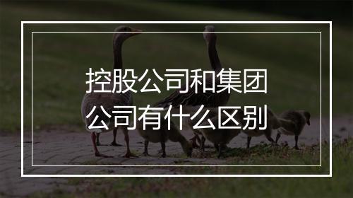 控股公司和集团公司有什么区别