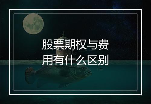 股票期权与费用有什么区别