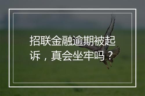 招联金融逾期被起诉，真会坐牢吗？