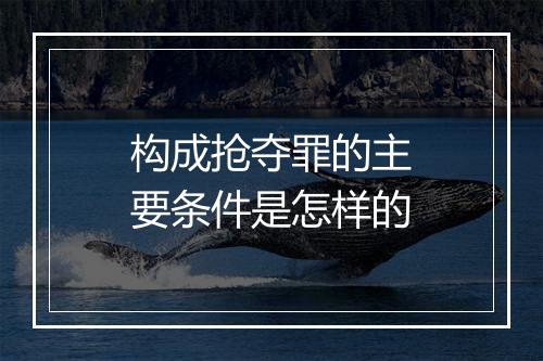 构成抢夺罪的主要条件是怎样的