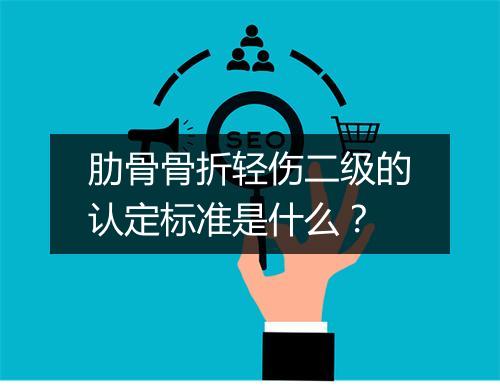 肋骨骨折轻伤二级的认定标准是什么？