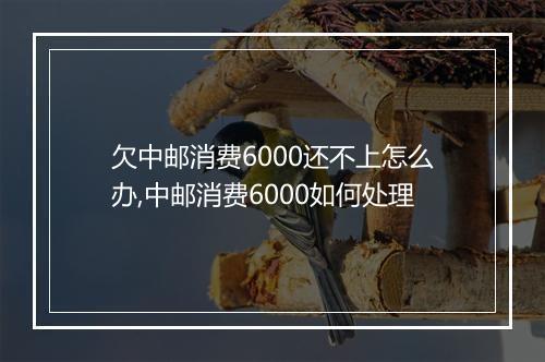 欠中邮消费6000还不上怎么办,中邮消费6000如何处理