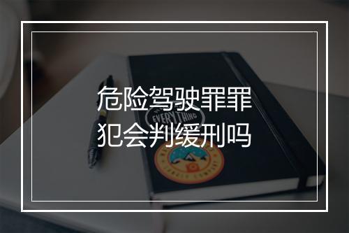 危险驾驶罪罪犯会判缓刑吗