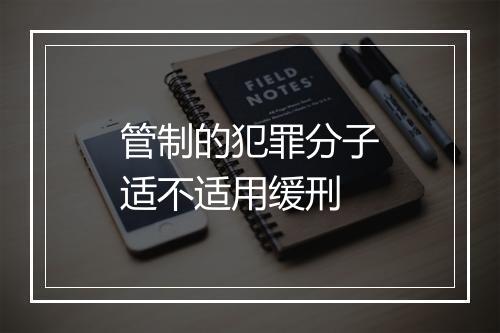 管制的犯罪分子适不适用缓刑