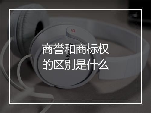 商誉和商标权的区别是什么