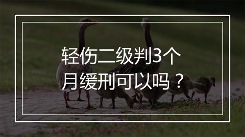 轻伤二级判3个月缓刑可以吗？