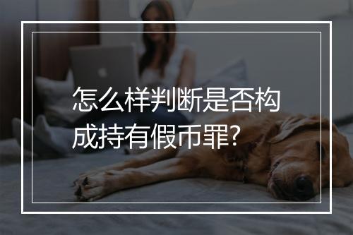 怎么样判断是否构成持有假币罪?