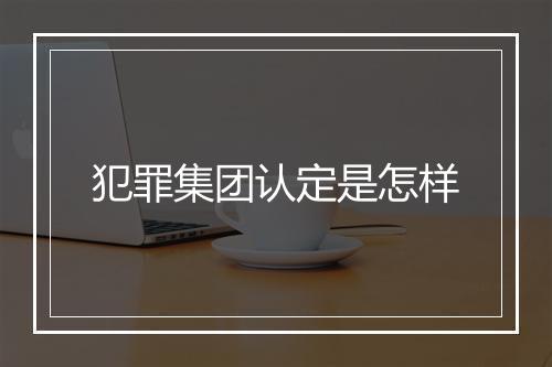 犯罪集团认定是怎样