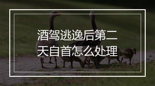 酒驾逃逸后第二天自首怎么处理