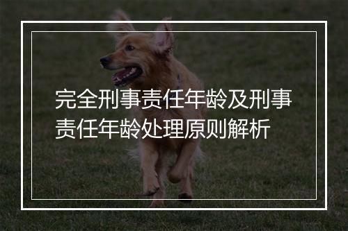 完全刑事责任年龄及刑事责任年龄处理原则解析