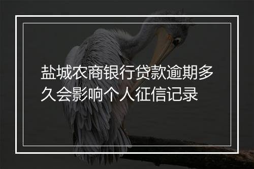 盐城农商银行贷款逾期多久会影响个人征信记录