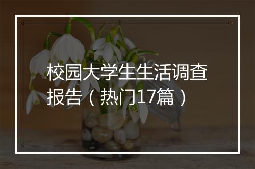 校园大学生生活调查报告（热门17篇）