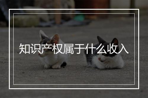 知识产权属于什么收入