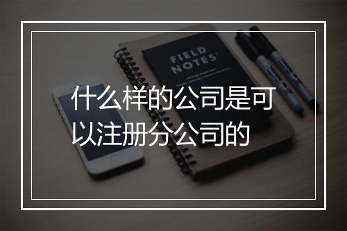 什么样的公司是可以注册分公司的