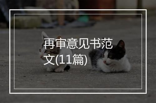 再审意见书范文(11篇)