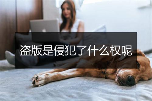 盗版是侵犯了什么权呢