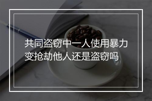 共同盗窃中一人使用暴力变抢劫他人还是盗窃吗